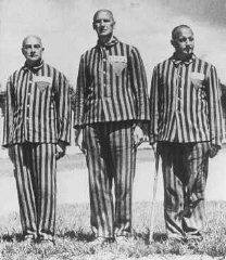 Pictures included in an appeal for Nazi concentration camp suits (Facebook page of "the great return march," February 25, 2018).