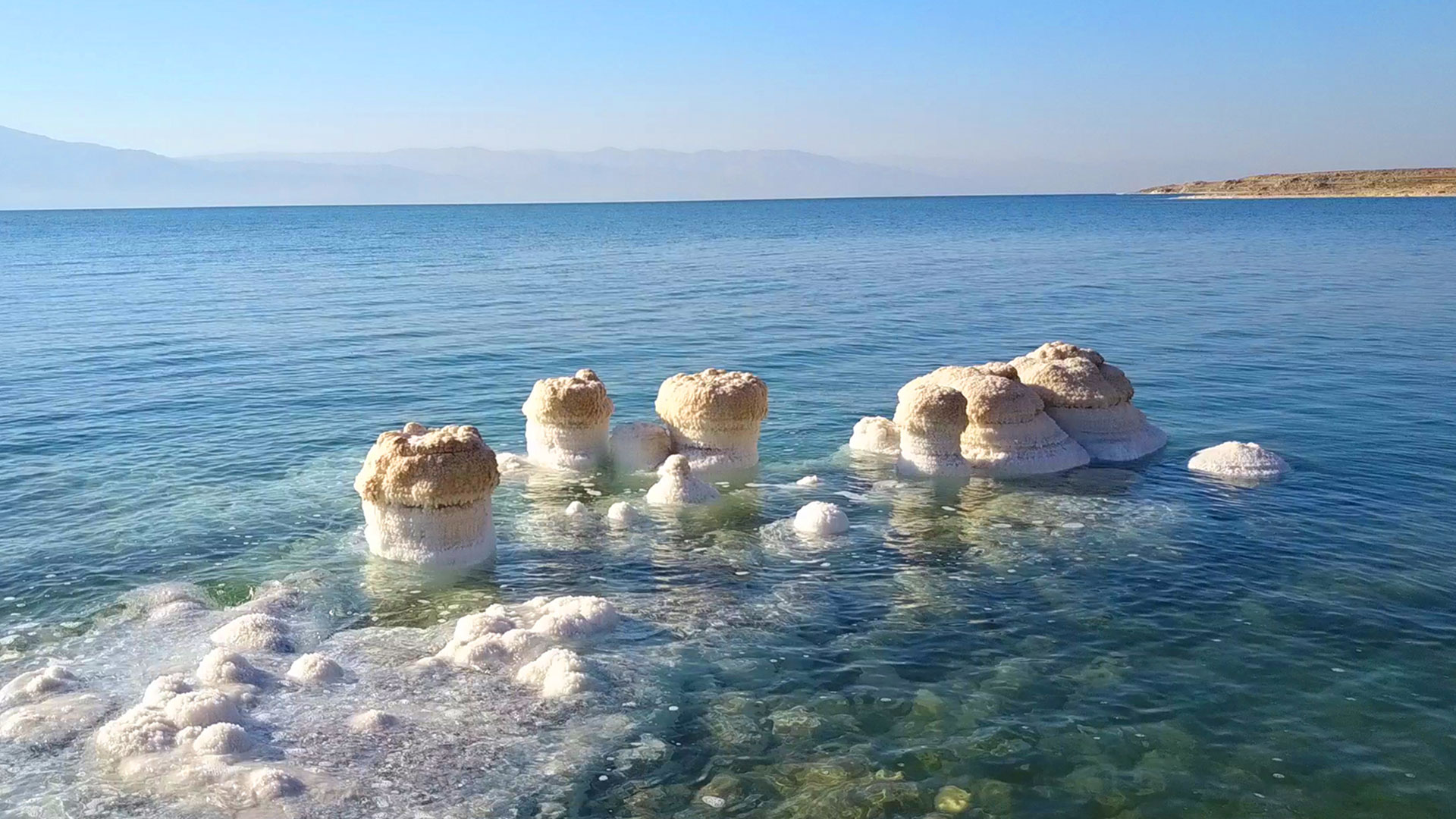 Life in the Dead Sea'' The Dead Sea Revival Project Israel Behind
