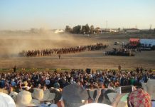 B & B – Beersheba and Balfour