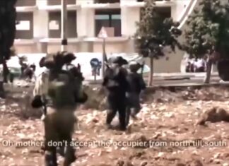 Mohammad Assaf: War Song for UNRWA