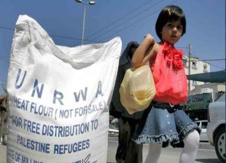 UNRWA chief vows to continue aid to Palestinians despite Israeli ban