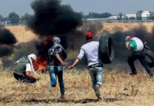 “Déjà vu”: Gaza: David Bedein “Where Terror Rules” | September 7, 2005