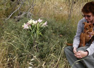 Documentary: Catching the Killers, Restoring Hope