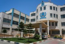 Ask new UNRWA COMMISSIONER: Where has all the flour gone?