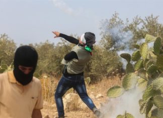 Why do the Arabs hate us so strongly? Why do the Arabs hate us so strongly?