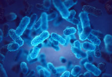 Infectious epidemic