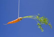 Carrots or sticks