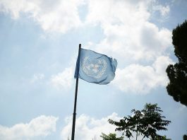 Exposed: Hamas Has a Sleeper Cell Inside UNRWA
