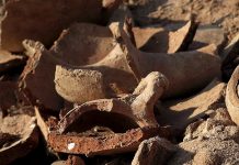 Unearthing the evidence