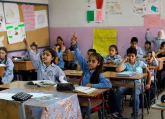 Real-time reporting from inside Palestinian Education