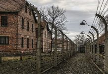 Communicate with 47 heads of state who arrive this week for a conference to remember the liberation of Auschwitz