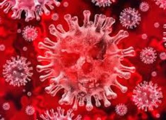 Behind The Scene with David Bedein: Coronavirus 2020