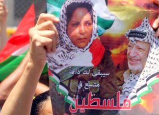 Palestinian Textbooks Still Celebrate Terrorists