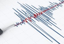 Seismic Rumbles