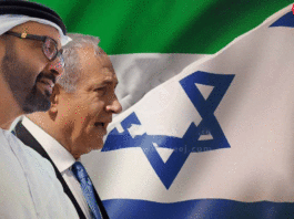 Backgrounders: The UAE- UNRWA connection