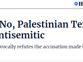 Dr. Groiss responds to Haaretz
