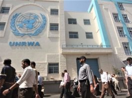 15 Desafios políticos para o novo chefe da UNRWA