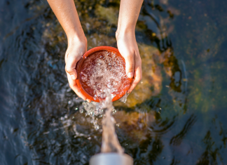 Water solutions: Lessons from UAE to Israel