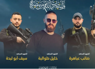 The Current Terror Wave in Israel: Main Characteristics and Implications