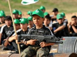 UNRWA at war 2024 – English