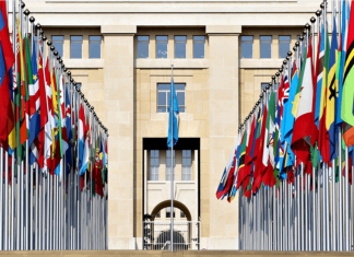 Collective and compulsive convulsions