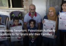 Have seen a petition of Jewish groups against the government of Israel