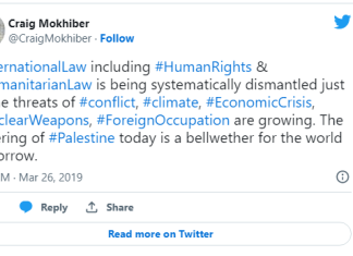 Exposed: Top UN Human Rights Official’s Hatred of Israel