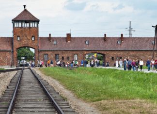 Thoughts on International Holocaust Remembrance Day