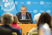 Fourteen issues UNRWA’s chief must address before Congress