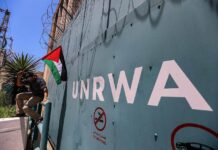 Israeli deputy FM: UNRWA is a terrorist organization