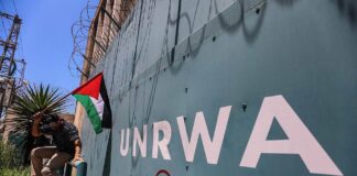 Israeli deputy FM: UNRWA is a terrorist organization