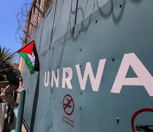 Israeli deputy FM: UNRWA is a terrorist organization