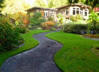 We Are Wanted Back Home!