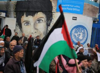 Partisan organisations such as United Nations Relief and Works Agency are an obstacle to peace