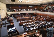 Imminent UNRWA Ban is ‘First Domino’ in Fighting ‘Palestinian Terror’, Says Key Knesset Lawmaker