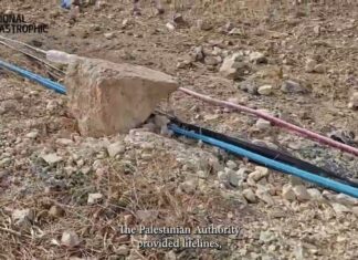 New Regavim Video Exposes the Destruction of the Judean Desert Ecosystem