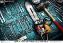 Mid-February 2025 Cartoons and Memes