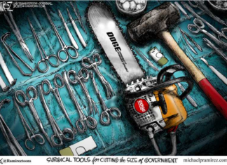 Mid-February 2025 Cartoons and Memes