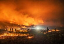 Fires Latest Update
