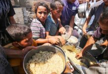 US to give $30m to Gaza Humanitarian Foundation despite violent and chaotic rollout of food distribution