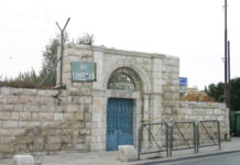 UNRWA Forces Refugee Status on Palestinians in Perpetuity — Even Against Their Wishes