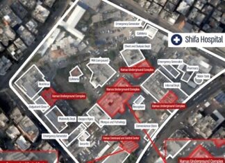 Self –infliction of suffering – Current Palestinian strategy: Part one