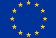 European Totalitarianism: New Illustration in the Face of the United States