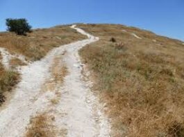 Who Do We Fear, Trump Or The Almighty?