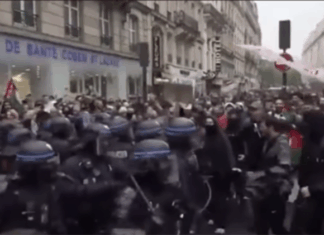 Ten years after the Bataclan massacre that stole 130 lives, Paris’ Muslim population hitting `20%