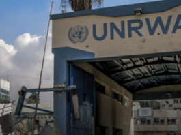 New Evidence Shows UNRWA Working Closely with Hamas; Report Reveals Tension Between Trump, Saudi Prince