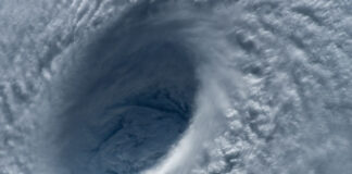 In the Eye of The Storm