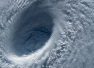 In the Eye of The Storm