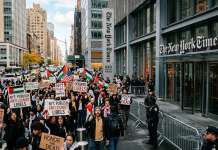 Protesters demand New York Times retract controversial ‘dog rape’ article, fire Nicholas Kristof