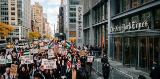 Protesters demand New York Times retract controversial ‘dog rape’ article, fire Nicholas Kristof